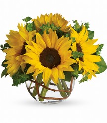 Sunny Sunflowers from Clifford's where roses are our specialty